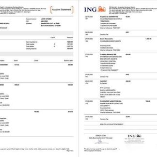 Netherlands ING Bank account statement Word and PDF template, 2 pages download template file