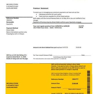 New Zealand Ami Insurance Limited bank statement template in Word and PDF format download template file