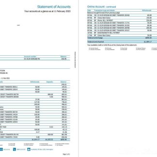New Zealand ANZ bank statement version 2, 2 pages download template file