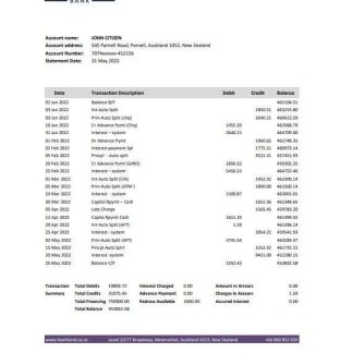 New Zealand Heartland bank statement Excel and PDF template download template file