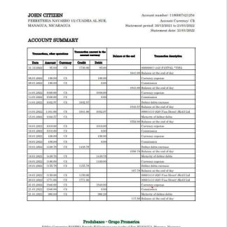 Nicaragua Banco de la Producci??n bank statement Excel and PDF template download template file