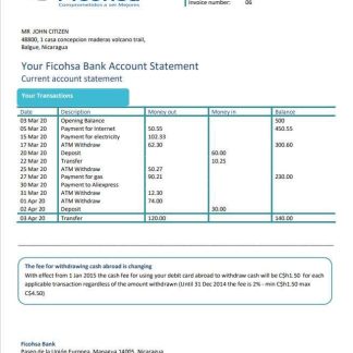 Nicaragua Banco Ficohsa bank statement download template file