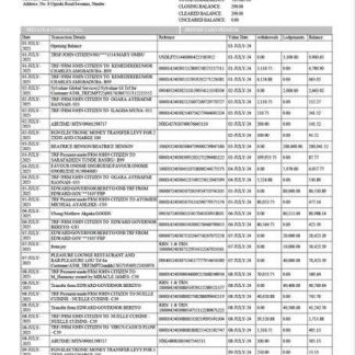 Nigeria Access Bank account statement Word and PDF template download template file