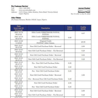 Nigeria Access bank statement download template file