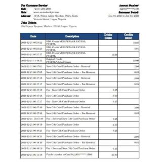 Nigeria Access bank statement Excel and PDF template download template file