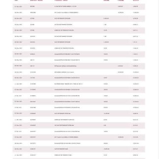 Nigeria ALAT bank statement Word and PDF template, 4 pages download template file