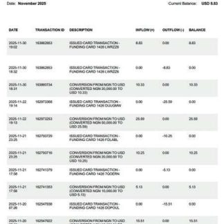 Nigeria Chipper transaction statement Word and PDF template download template file