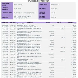 Nigeria FCMB bank statement Word and PDF template, 6 pages download template file
