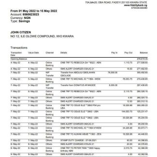 Nigeria Fidelity bank statement download template file