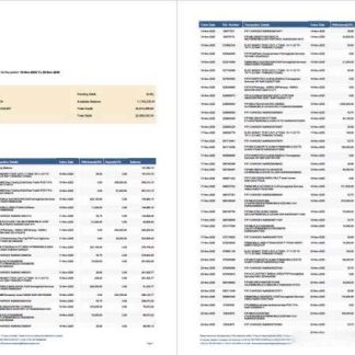 Nigeria First Bank account statement Word and PDF template, 2 pages download template file