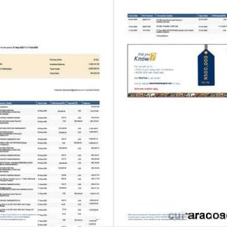 Nigeria First Bank account statement Word and PDF template, 2 pages, version 2 download template file
