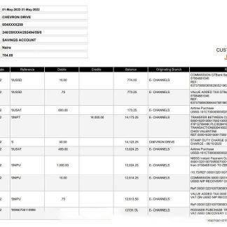 Nigeria GTBank statement, Word and PDF template, version 2 download template file