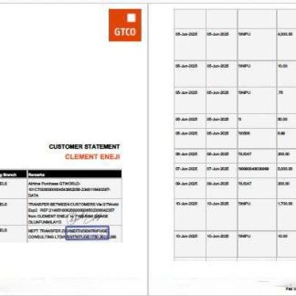 Nigeria Guaranty Trust Bank Plc account statement Word and PDF template, 2 pages download template file