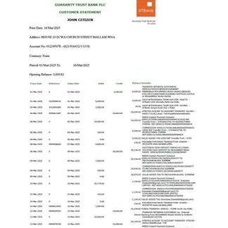 Nigeria Guaranty Trust Bank Plc account statement Word and PDF template, version 2 download template file