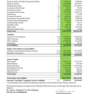 Nigeria Jaiz bank statement Word and PDF templatescr download template file