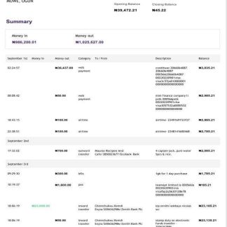 Nigeria KudaBank statement Word and PDF template, 4 pages download template file