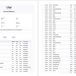 Nigeria Opay account statement Word and PDF template, 2 pages download template file