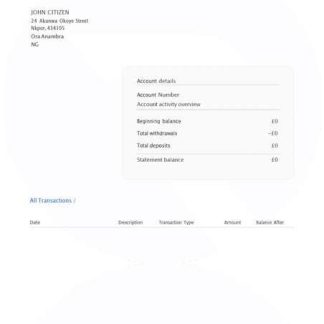 Nigeria Raenest account statement Word and PDF template download template file