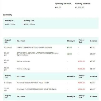 NIGERIA RAVEN bank statement Word and PDF template download template file