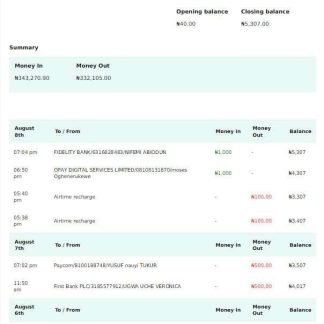 Nigeria Raven Bank statement Word and PDF template scr download template file