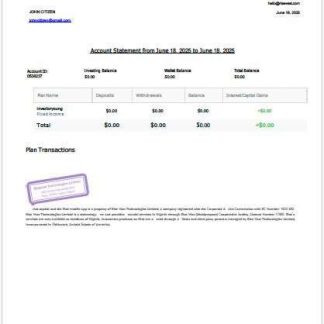 Nigeria Rise Vest account statement Word and PDF template download template file