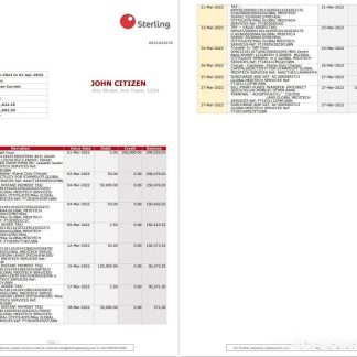 Nigeria Sterling bank statement download template file