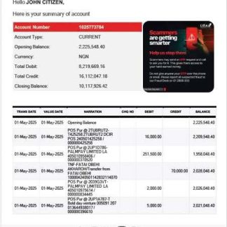 Nigeria United Bank for Africa bank statement Word and PDF template download template file