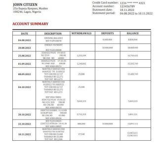 Nigeria Zenith Bank statement download template file