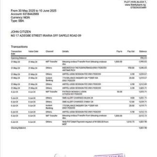 Nigerienia Fidelity bank statement Word and PDF template, version 2 download template file