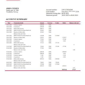 Norway BN Bank statement download template file