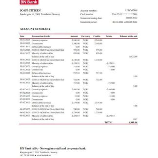 Norway BN Bank statement Excel and PDF template download template file