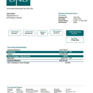Norway DNB bank statement download template file