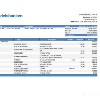 Norway Handelsbank statement Excel and PDF template download template file