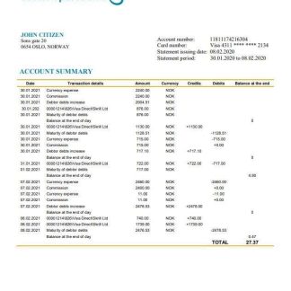Norway Luster Sparebank download template file