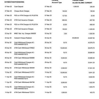 Pakistan Allied Bank Limited account statement Word and PDF template download template file