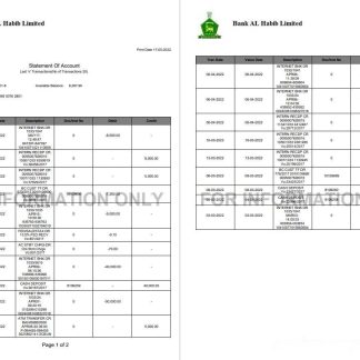 Pakistan Bank Al Habib statement 2 pages download template file