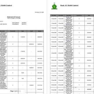 Pakistan Bank Al Habib statement of account Word and PDF template, 4 pages, 1 2 pages download template file