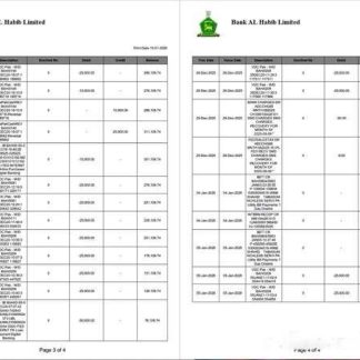 Pakistan Bank Al Habib statement of account Word and PDF template, 4 pages, 3 4 pages download template file