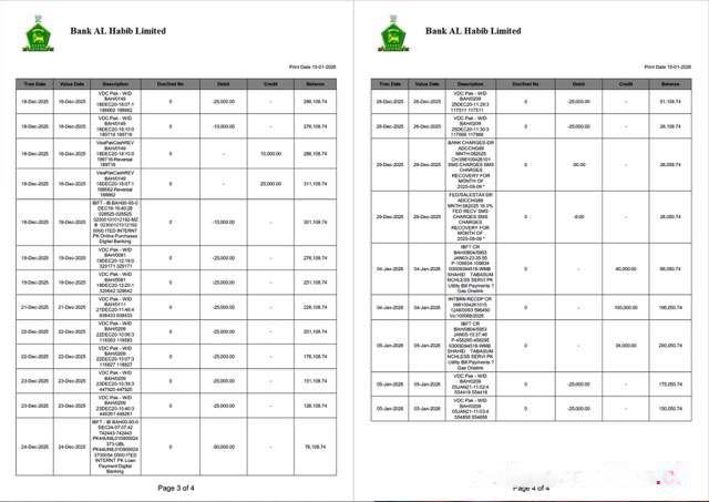 Pakistan Bank Al Habib statement of account Word and PDF template, 4 pages, 3 4 pages download template file