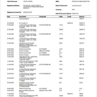 Pakistan Bank Alfalah statement of account Word and PDF template download template file