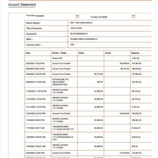 Pakistan Bank of Punjab account statement Word and PDF template download template file