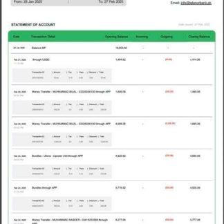 Pakistan Easypaisa statement of account Word and PDF template download template file