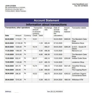 Pakistan Faysal bank statement download template file