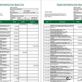 Pakistan Habib Metropolitan bank statement Word and PDF template, 5 pages 1 2 download template file