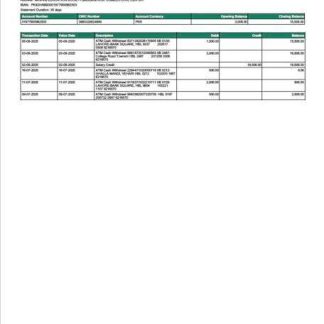 Pakistan HBL account statement Word and PDF template download template file
