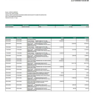 Pakistan HBL bank statement download template file