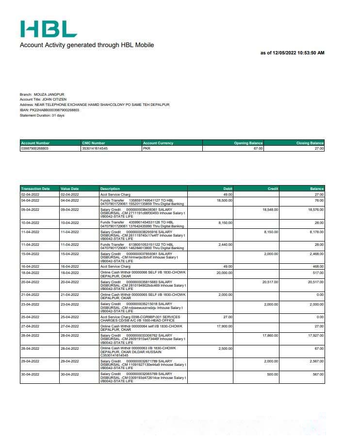 Pakistan HBL bank statement download template file
