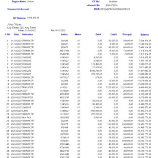 Pakistan ICI bank statement Word and PDF template download template file