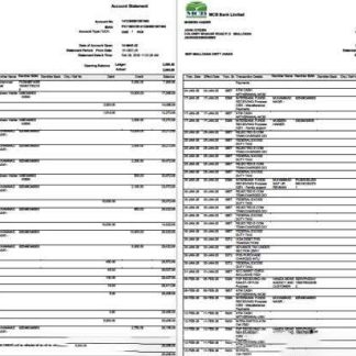 Pakistan MCB Bank account statement Word and PDF template, 2 pages download template file