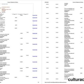 Pakistan Meezan Bank Limited account statement Word and PDF template, 2 pages download template file